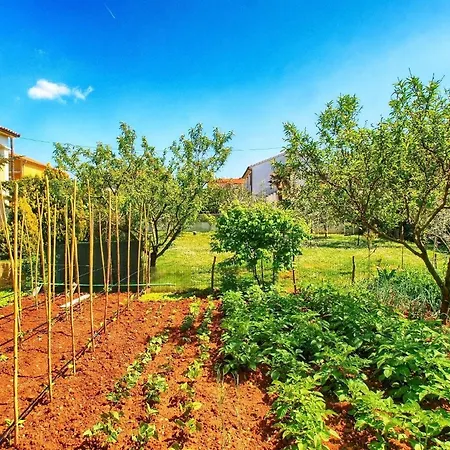 Fuer 4 Personen Ca 90 Qm In Medulin, Istrien Suedkueste Von Istrien Apartament *