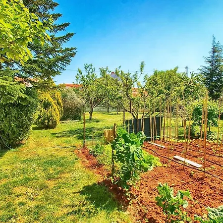 Apartment Für 4 Personen Ca 90 Qm In Medulin, Istrien Südküste Von Istrien - B60858 Medulin